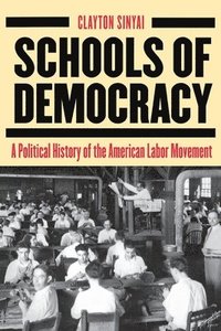 bokomslag Schools of Democracy
