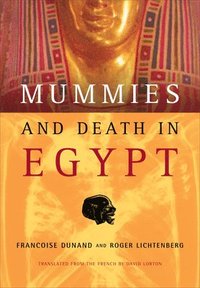 bokomslag Mummies and Death in Egypt