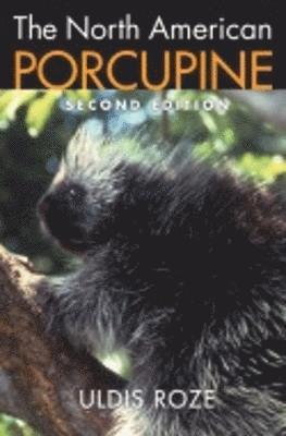 The North American Porcupine 1