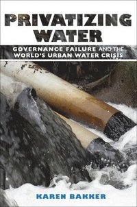 bokomslag Privatizing Water