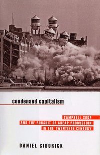 bokomslag Condensed Capitalism