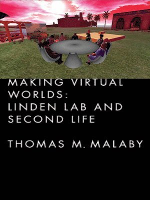 bokomslag Making Virtual Worlds