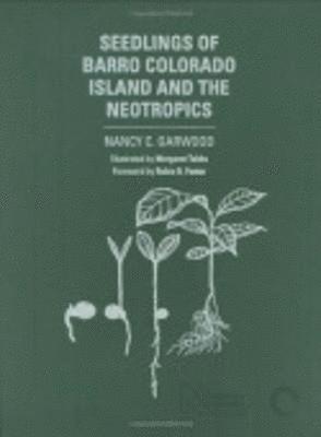 Seedlings of Barro Colorado Island and the Neotropics 1