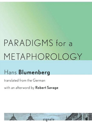bokomslag Paradigms for a Metaphorology
