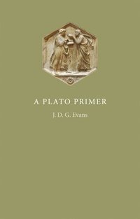 bokomslag A Plato Primer
