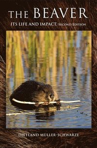 bokomslag The Beaver