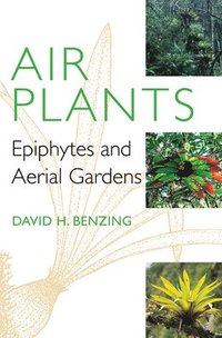 bokomslag Air Plants
