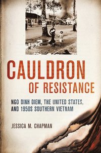bokomslag Cauldron of Resistance