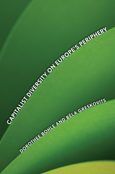 bokomslag Capitalist Diversity on Europe's Periphery
