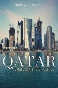 bokomslag Qatar - small state, big politics