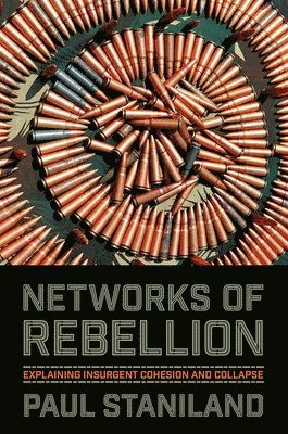 bokomslag Networks of Rebellion