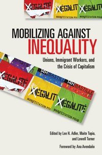 bokomslag Mobilizing against Inequality