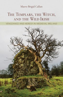 bokomslag Templars, the Witch, and the Wild Irish