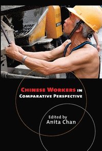 bokomslag Chinese Workers in Comparative Perspective
