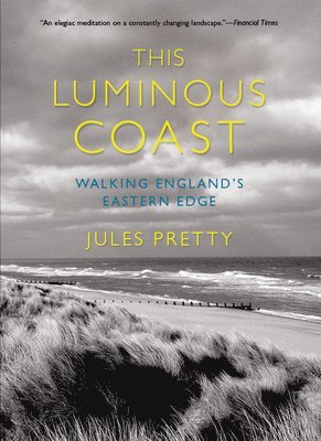 bokomslag This Luminous Coast: Walking England's Eastern Edge