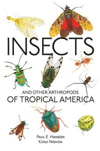 bokomslag Insects and Other Arthropods of Tropical America