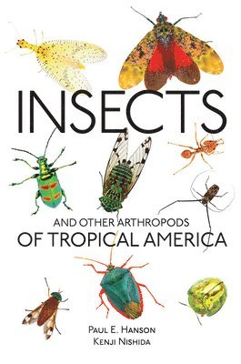 Insects and Other Arthropods of Tropical America 1