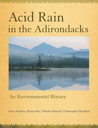 bokomslag Acid Rain in the Adirondacks