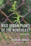 bokomslag Wild Urban Plants of the Northeast