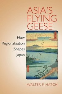 bokomslag Asia's Flying Geese
