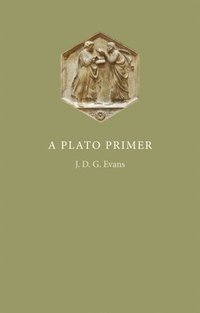 bokomslag Plato Primer