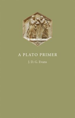 bokomslag A Plato Primer