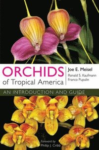 bokomslag Orchids of Tropical America