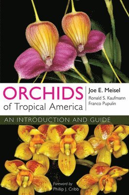 bokomslag Orchids of Tropical America