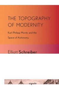 bokomslag The Topography of Modernity