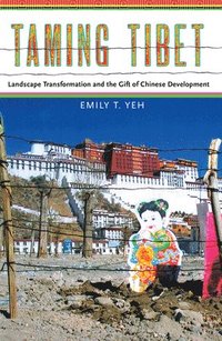 bokomslag Taming Tibet