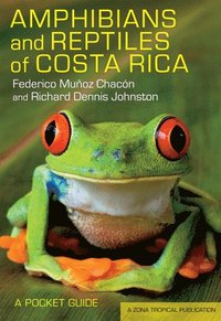 bokomslag Amphibians and Reptiles of Costa Rica