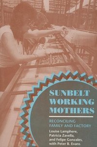 bokomslag Sunbelt Working Mothers