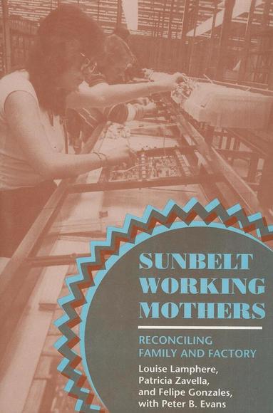 Louise Lamphere, Patricia Zavella, Felipe Gonzales - Sunbelt Working Mothers, Häftad