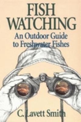 Fish Watching 1