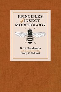 bokomslag Principles of Insect Morphology