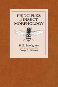 bokomslag Principles of Insect Morphology