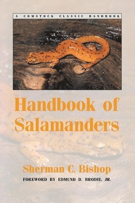 bokomslag Handbook of Salamanders