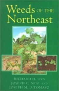 bokomslag Weeds of the Northeast
