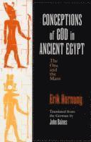 bokomslag Conceptions of God in Ancient Egypt