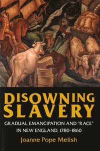 bokomslag Disowning Slavery