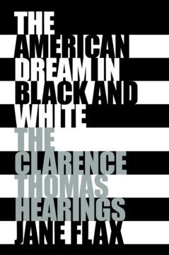 Jane Flax - American Dream in Black and White, Häftad