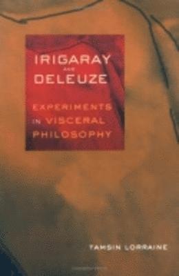 bokomslag Irigaray and Deleuze