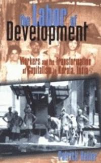 bokomslag The Labor of Development