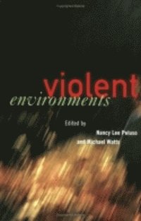 bokomslag Violent Environments
