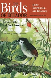 bokomslag The Birds of Ecuador: Vol II Field Guide