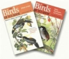 The Birds of Ecuador: Vols I & II Status, Distribution, and Taxonomy / Field Guide 1