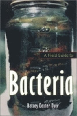 Betsey Dexter Dyer - Field Guide to Bacteria, Häftad