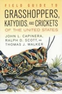 bokomslag Field Guide to Grasshoppers, Katydids, and Crickets of the United States