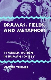 bokomslag Dramas, Fields, and Metaphors