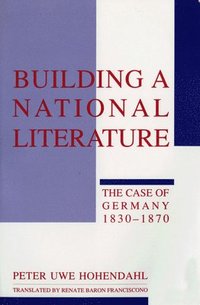 bokomslag Building a National Literature
